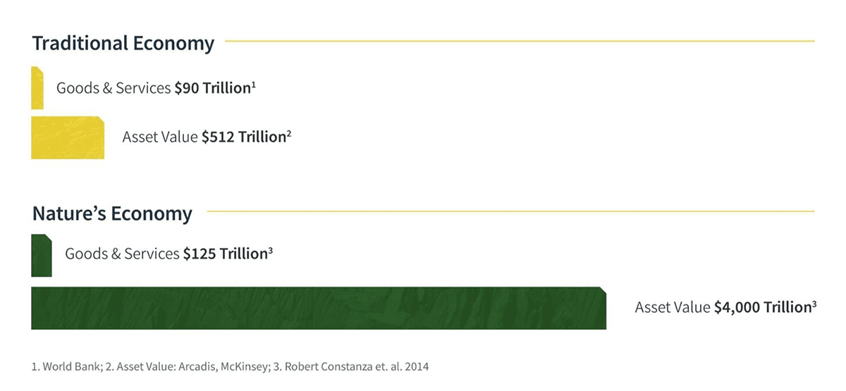 traditional vs natural economy